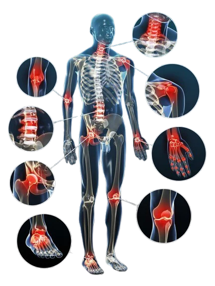Multi joint ortho SWT Multi joint ortho SWT